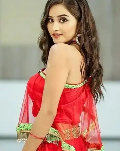 Escort In Mandideep